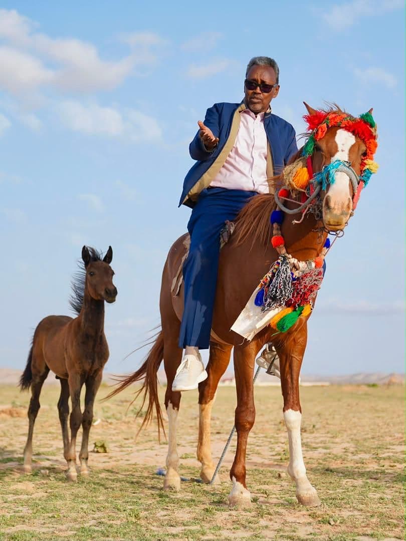 Faras iyo dhashiisa